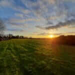 ff baumverbrennen 16