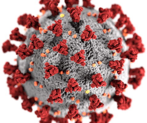 SARS CoV 2 without background