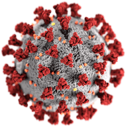 SARS CoV 2 without background